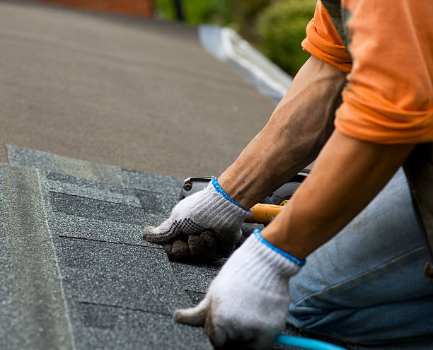 Gutter Installation and Roofing in Maple Plain, MN